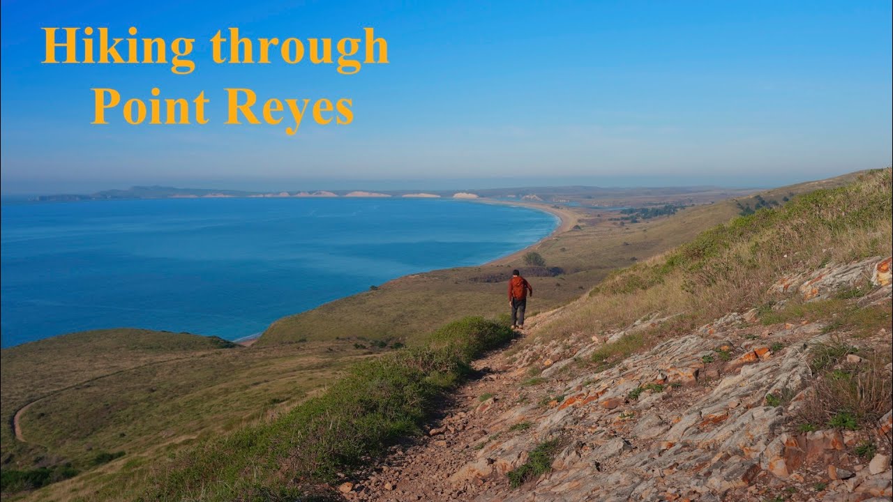 All Day Hiking through Point Reyes | Bobcats, Deer, & More
