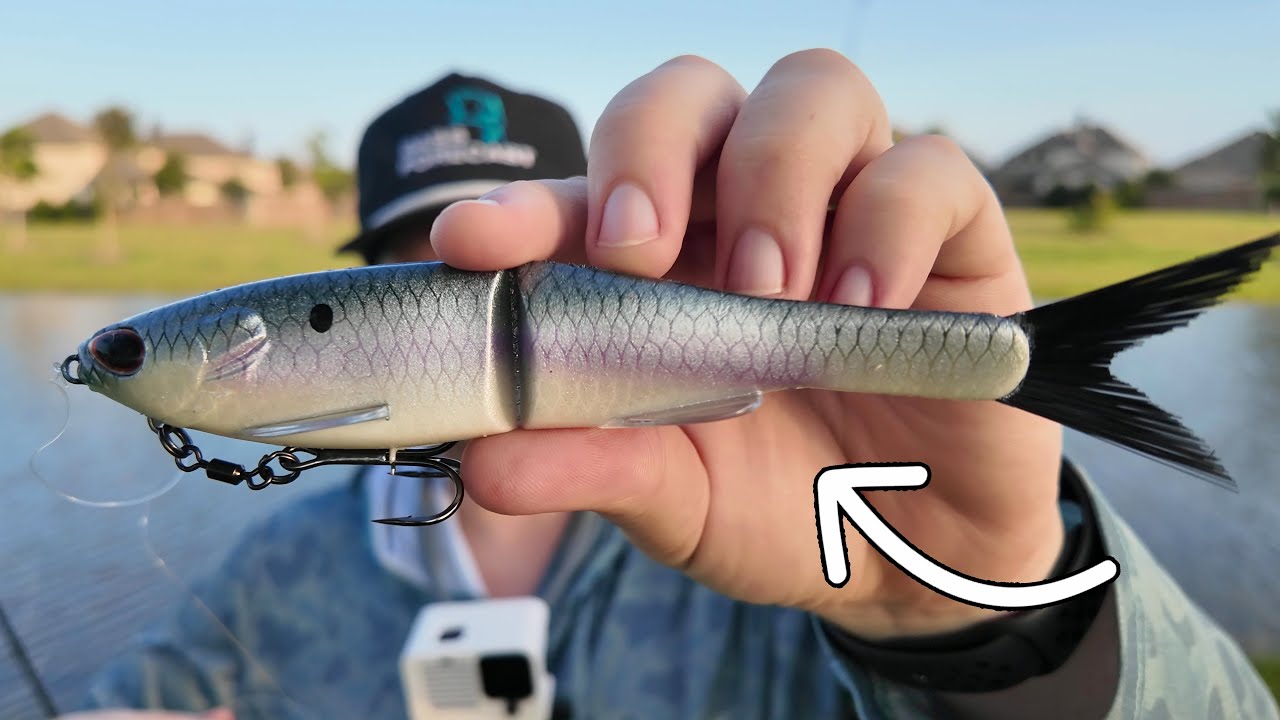 Fishing for Giant Bass in LOADED Texas Ponds