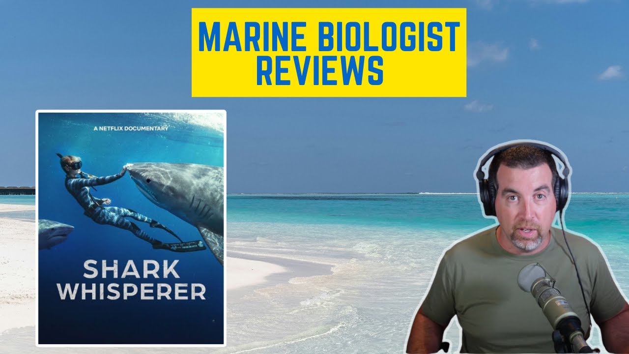 Ocean Ramsay's Shark Whisperer, A Review of the Conservation Claims and Controversies
