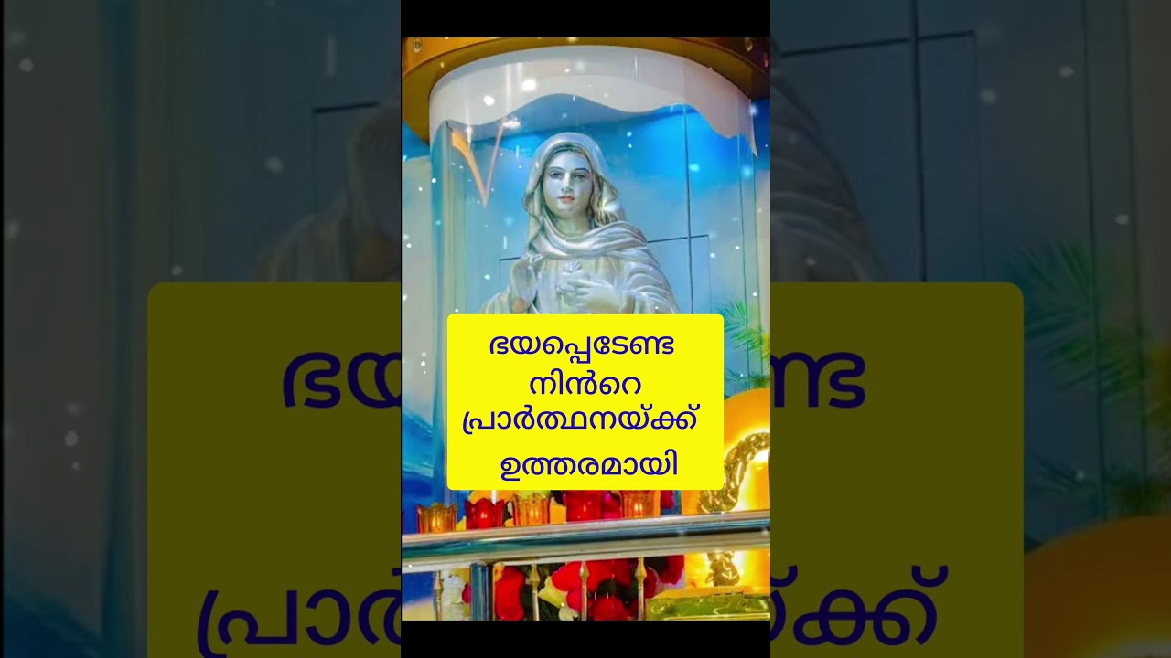 | fr vp Joseph kreupasanam | kreupasanam dhyanam | #kreupasanam|#shorts |#maria |#kreupasanammathavu