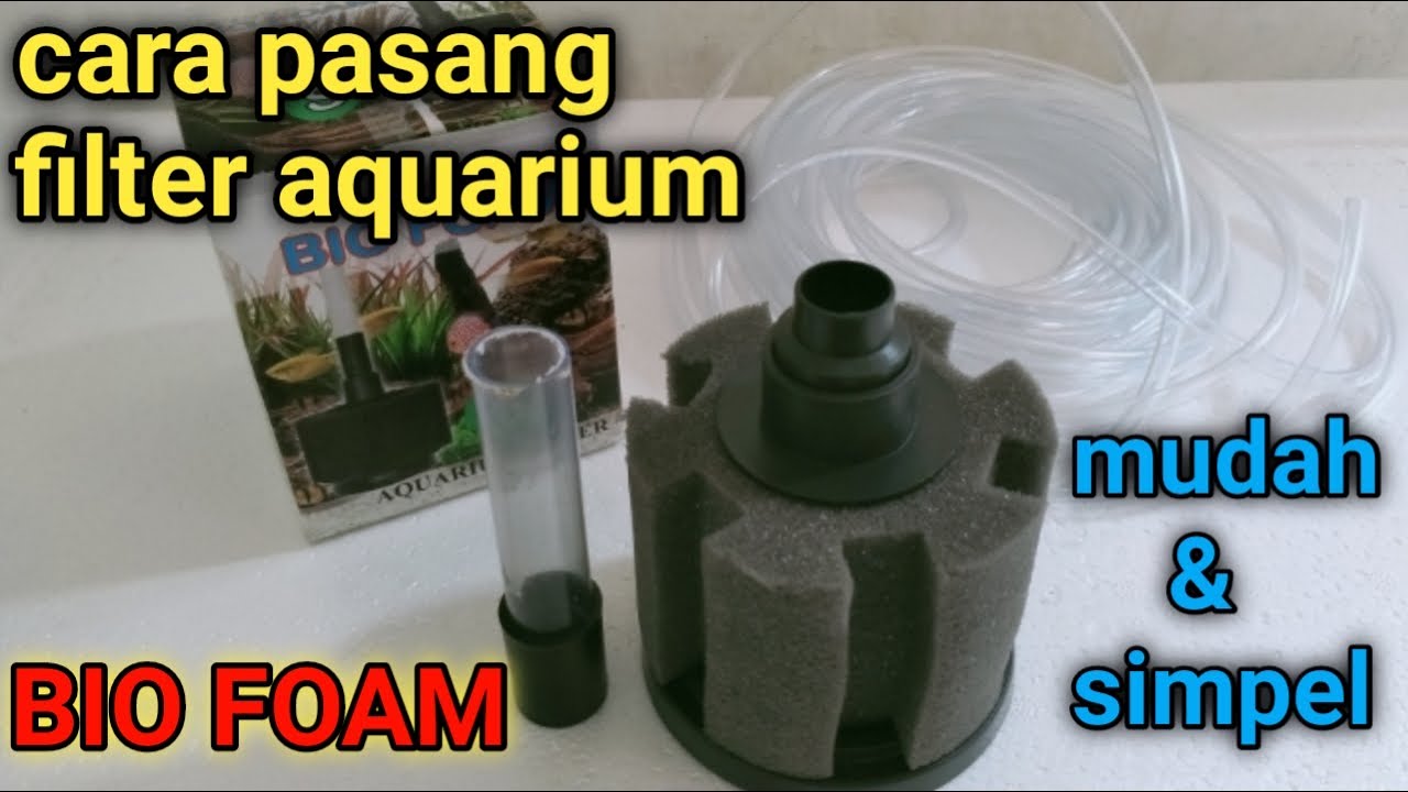 cara pasang filter biofoam