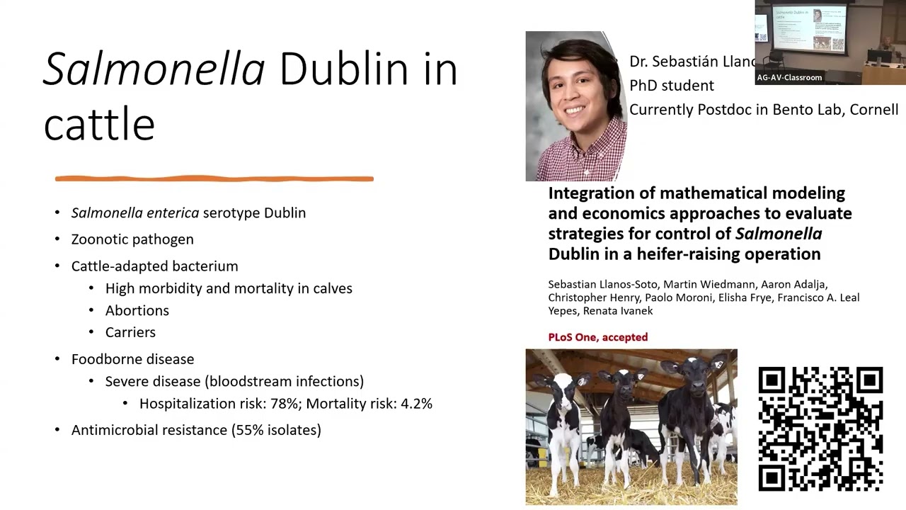 Renata Ivanek: From Mechanistic Models to Symbolic Regression