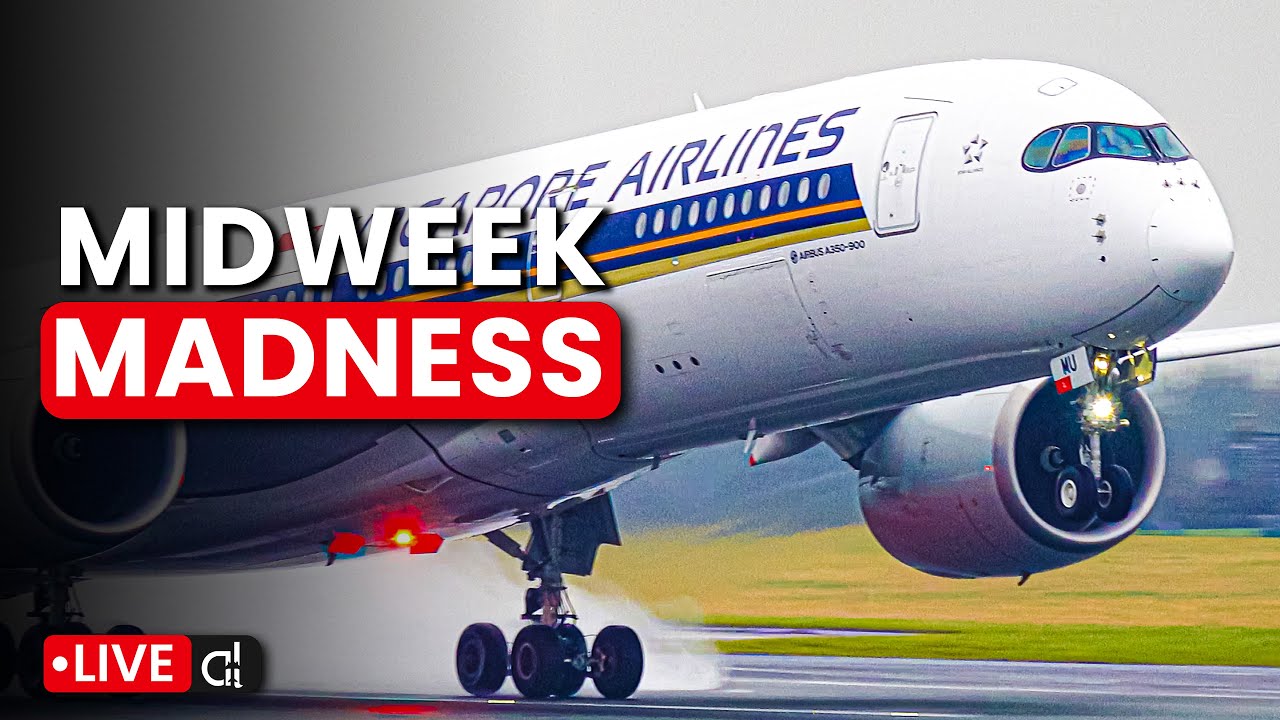 ✈️ Live Plane Spotting & Friendly Chat! ❤️