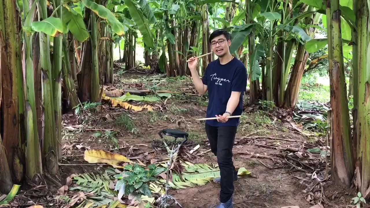 7 Stroke Roll กับ Tingper ชาวไร่