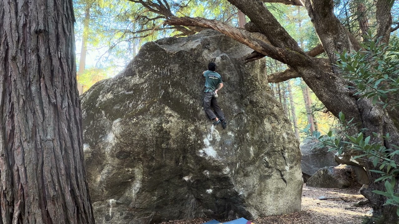The Pugilist v9