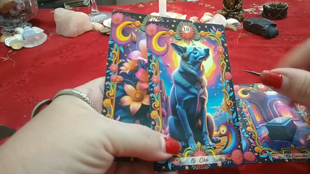 LEÃO ♌ 28/01/26 VOCÊ VAI RECEBER UM PRESENTE DO UNIVERSO. ABENÇOADO SEJA 🙏🎉