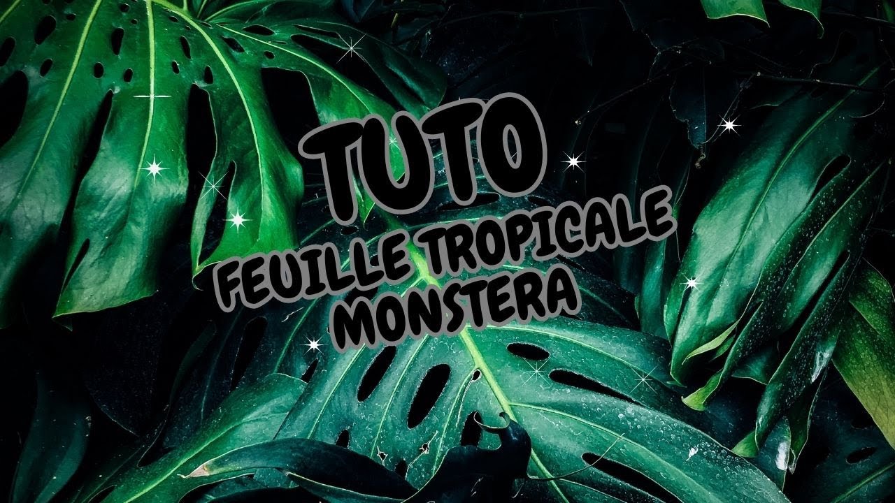 tuto feuille tropicale monstera 🌿🍃