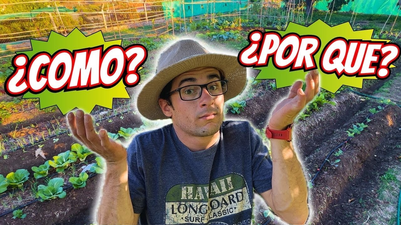Como EMPEZAR UNA HUERTA DESDE CERO | AGRICULTURA REGENERATIVA