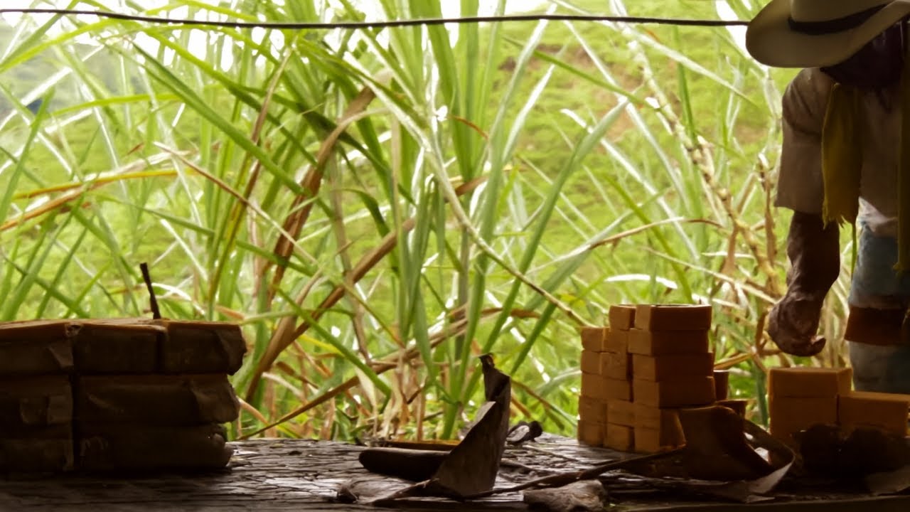 Sucre Brun du Sri Lanka – Processus Traditionnel et Secrets de Fabrication