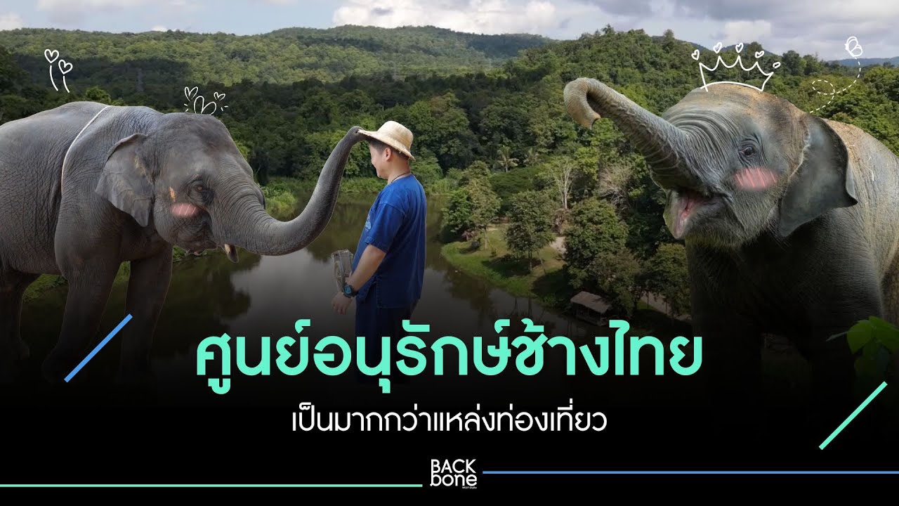 ศูนย์อนุรักษ์ช้างไทย เป็นมากกว่าแหล่งท่องเที่ยว