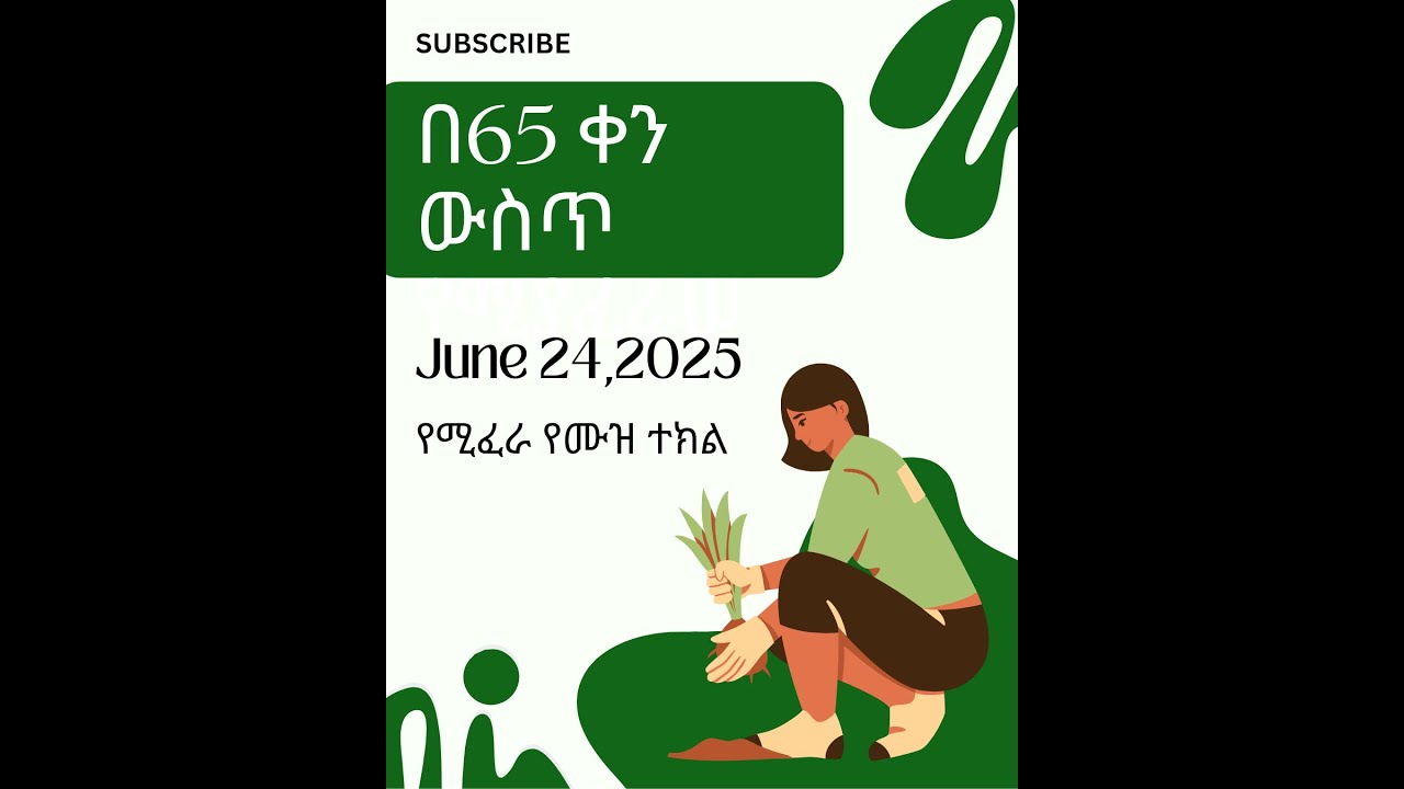 በ65 ቀን የሚያፈራ የሙዝ ተክል አተካከል