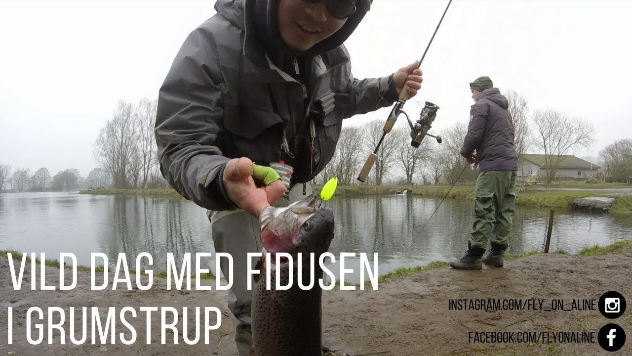 Vild dag med Fidusen i Grumstrup