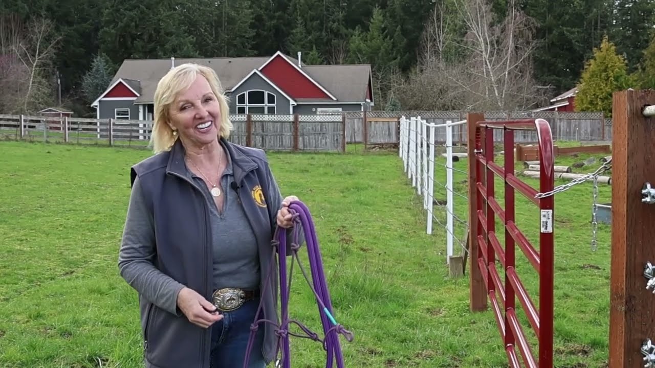 HOW TO CATCH AND LEAD A HORSE SAFELY