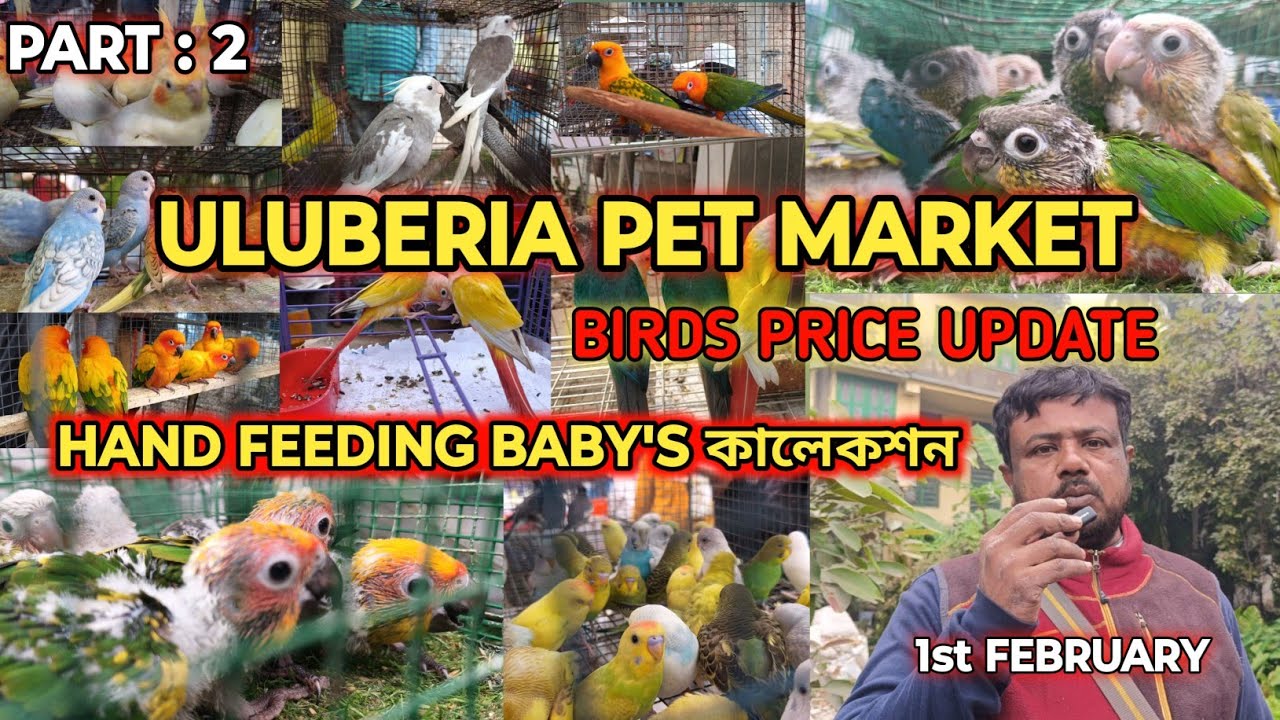 ULUBERIA PET MARKET BIRD'S PRICES UPDATE ON 1ST FEBRUARY PART 2 #uluberia_pet_market #cheapestprice
