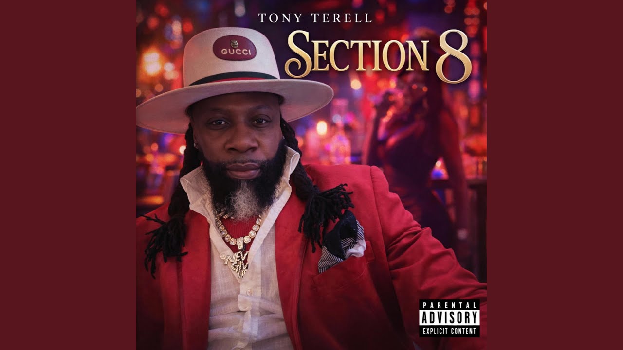 section 8