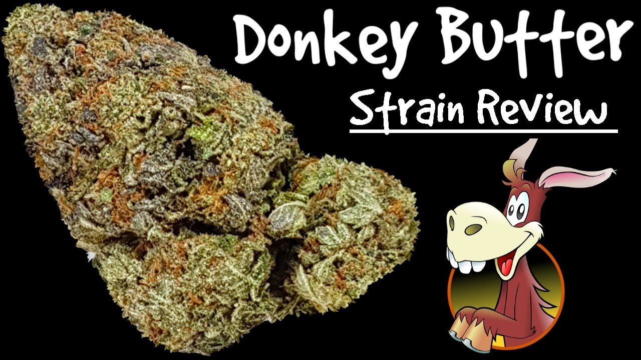 Donkey Butter OFFICIAL Strain Review