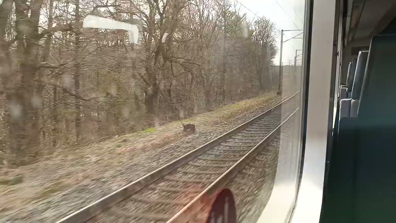 Kolejna podr&oacute;ż pociągiem DSB Denmark. Fredericia.