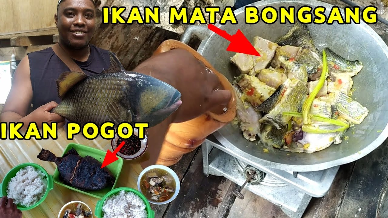 AKSI SERU BULE ASAL NORWEGIA MENGOLAH IKAN POGOT & MATA BONGSANG DI PONDOK DAENG LALA