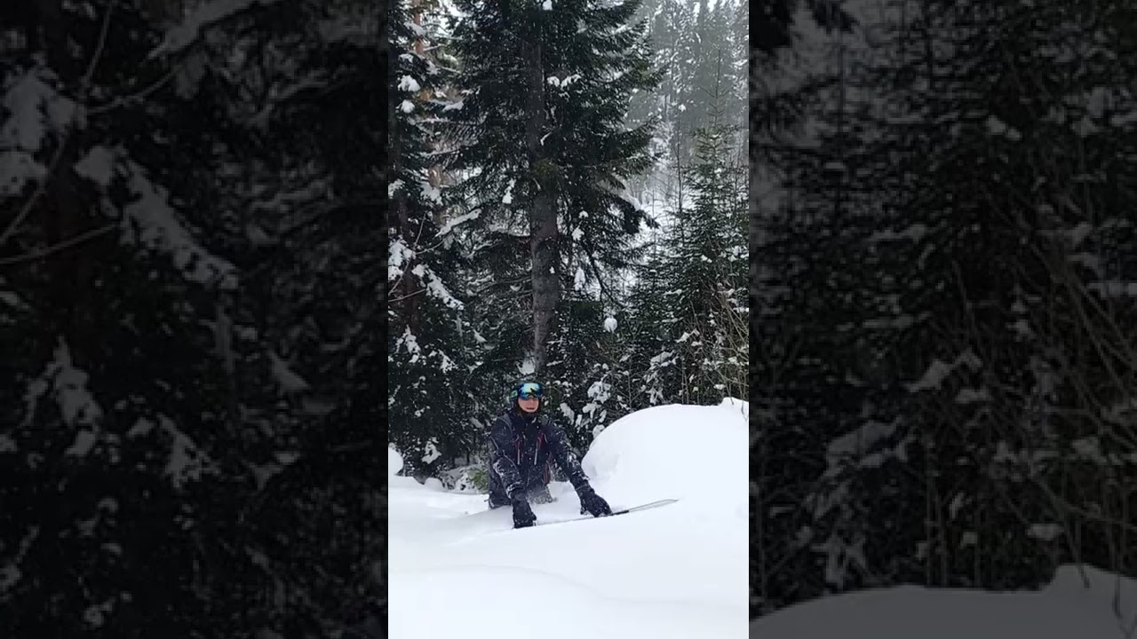 Вот встрял!... Вылезет или нет?... #Shorts