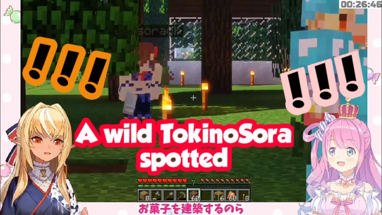 A wild Tokino Sora spotted by Flare and Luna-hime[Hololive]