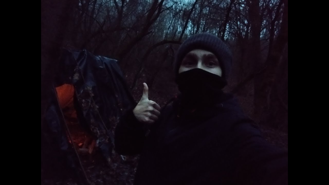 Touching moss and doing whatever in a Ukrainian november forest