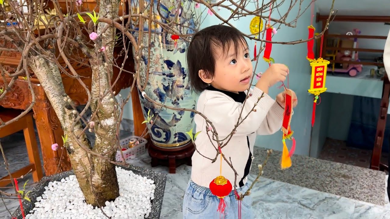Diem and Quynh decorate the peach tree with their father for Tet