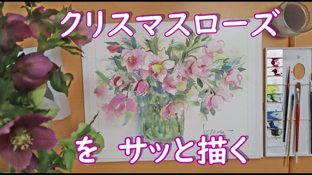 【透明水彩画】クリスマスローズをサッと描く