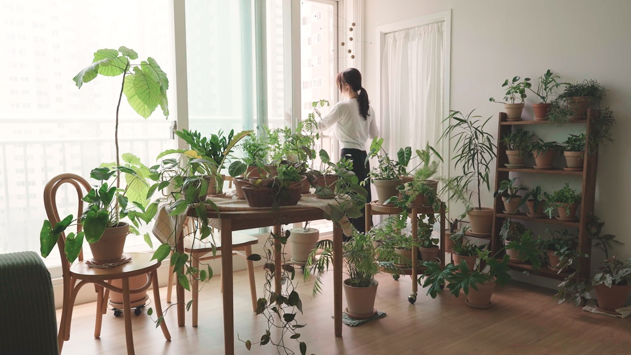 Новые комнатные растения для лета 🌿 12 прекрасных растений и персиковый пирог 🍑