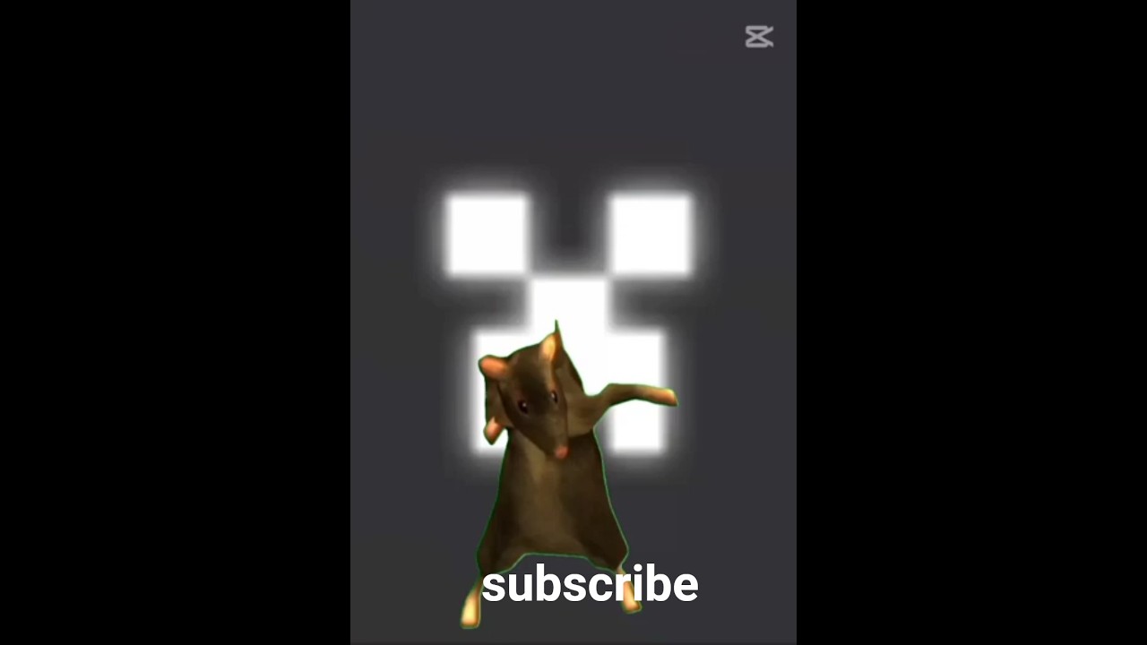 sobolan dansator