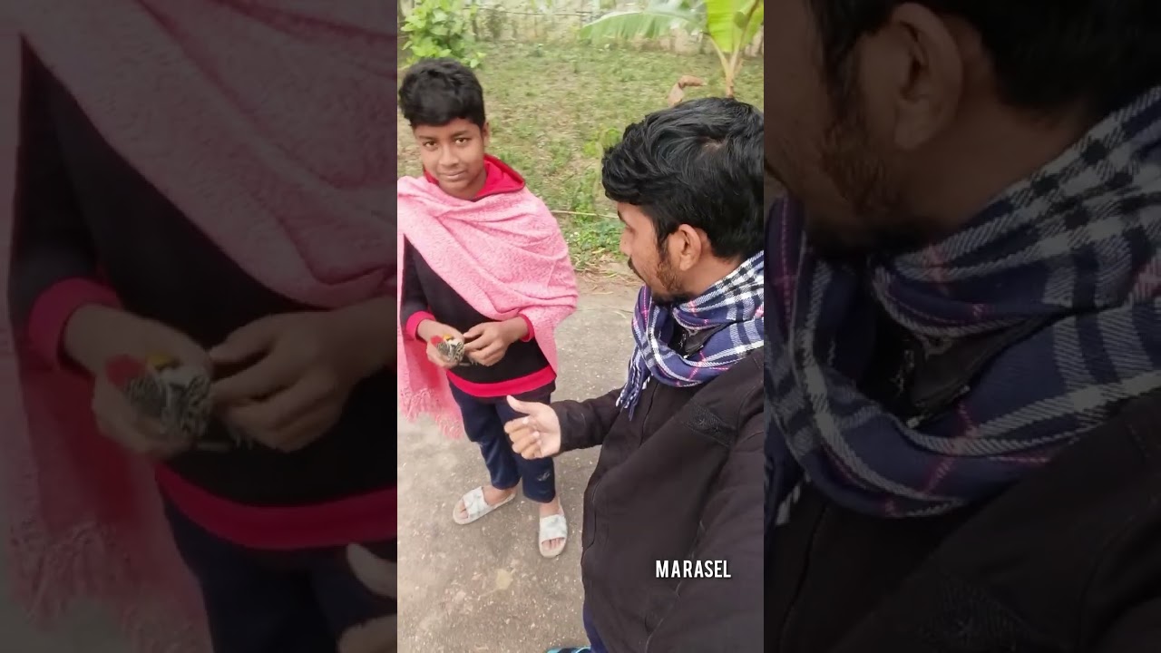 জালে আটকা পড়া পাখিকে মুক্ত করে দিলাম। ARMAN RASEL