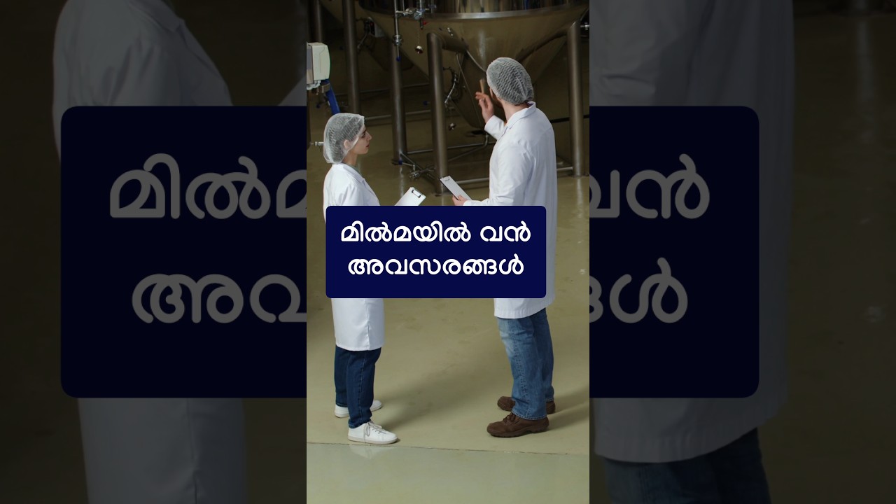 മിൽമയിൽ അവസരങ്ങൾ😌 | #jobsmalayalam #jobvacancy #latestjobvacancy #a2zinfovlog #jobvacancy2025