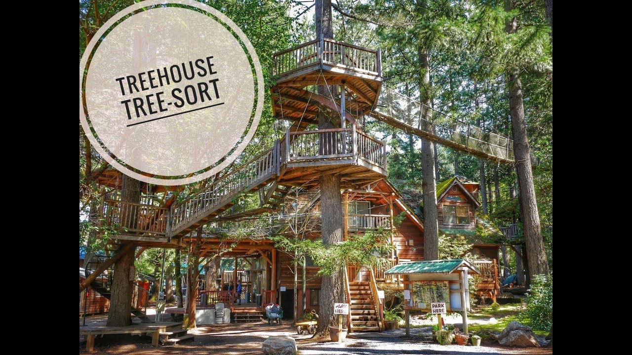EPIC TREEHOUSE RESORT TOUR! Full Review - Collection of Tiny Tree Houses