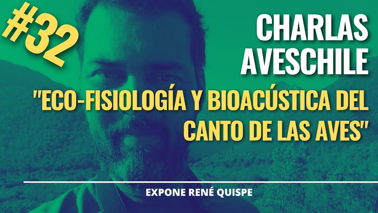 Charla Aves Chile: Eco-fisiología y Bioacústica del Canto de las Aves