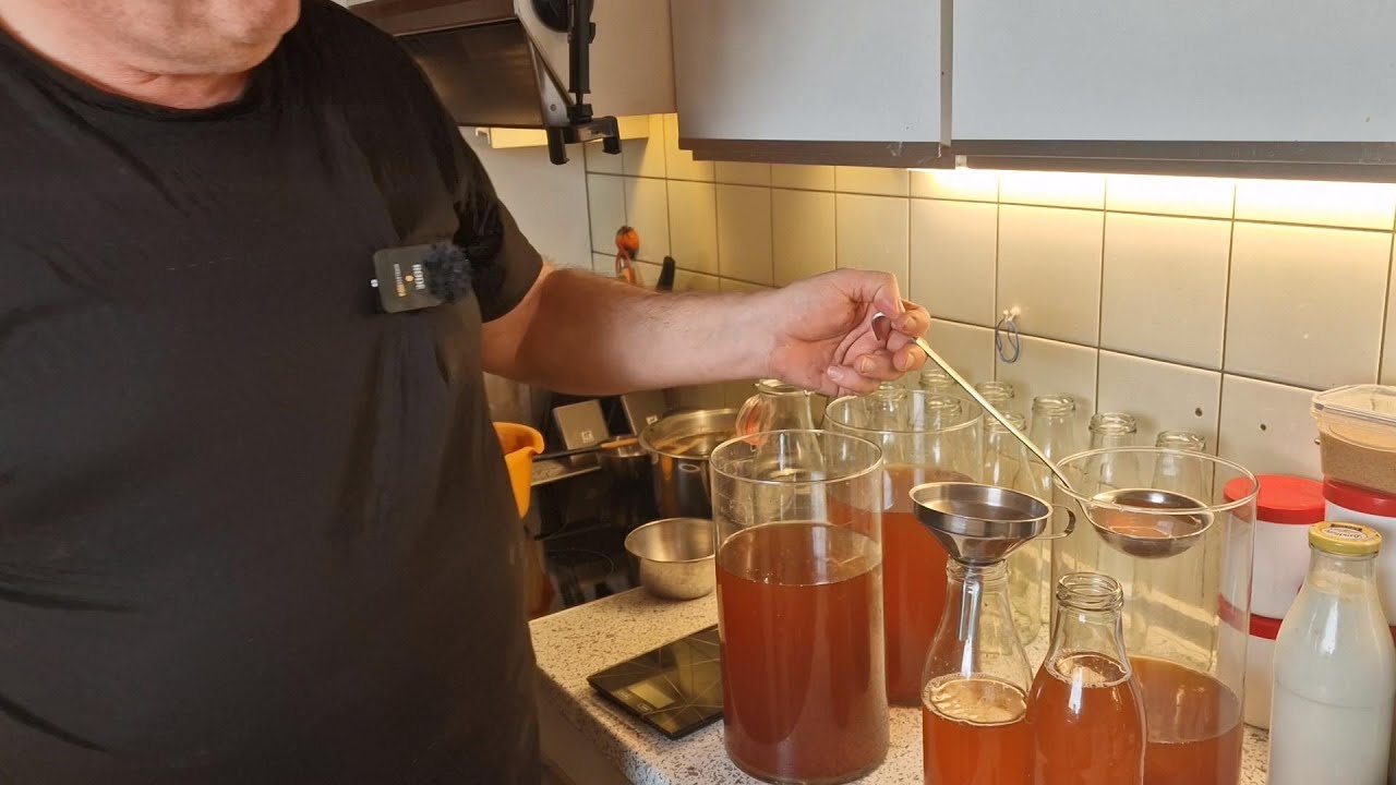 Kombucha, der spritzig frische Drink