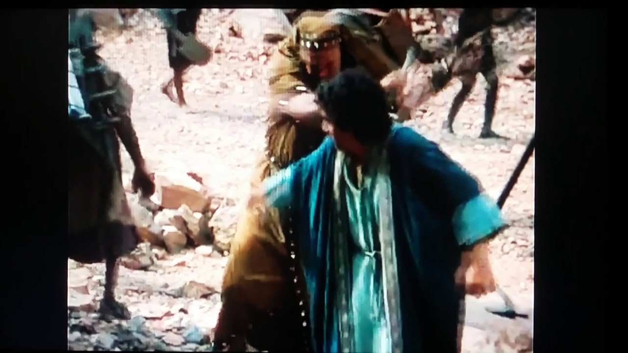 Wholly Moses