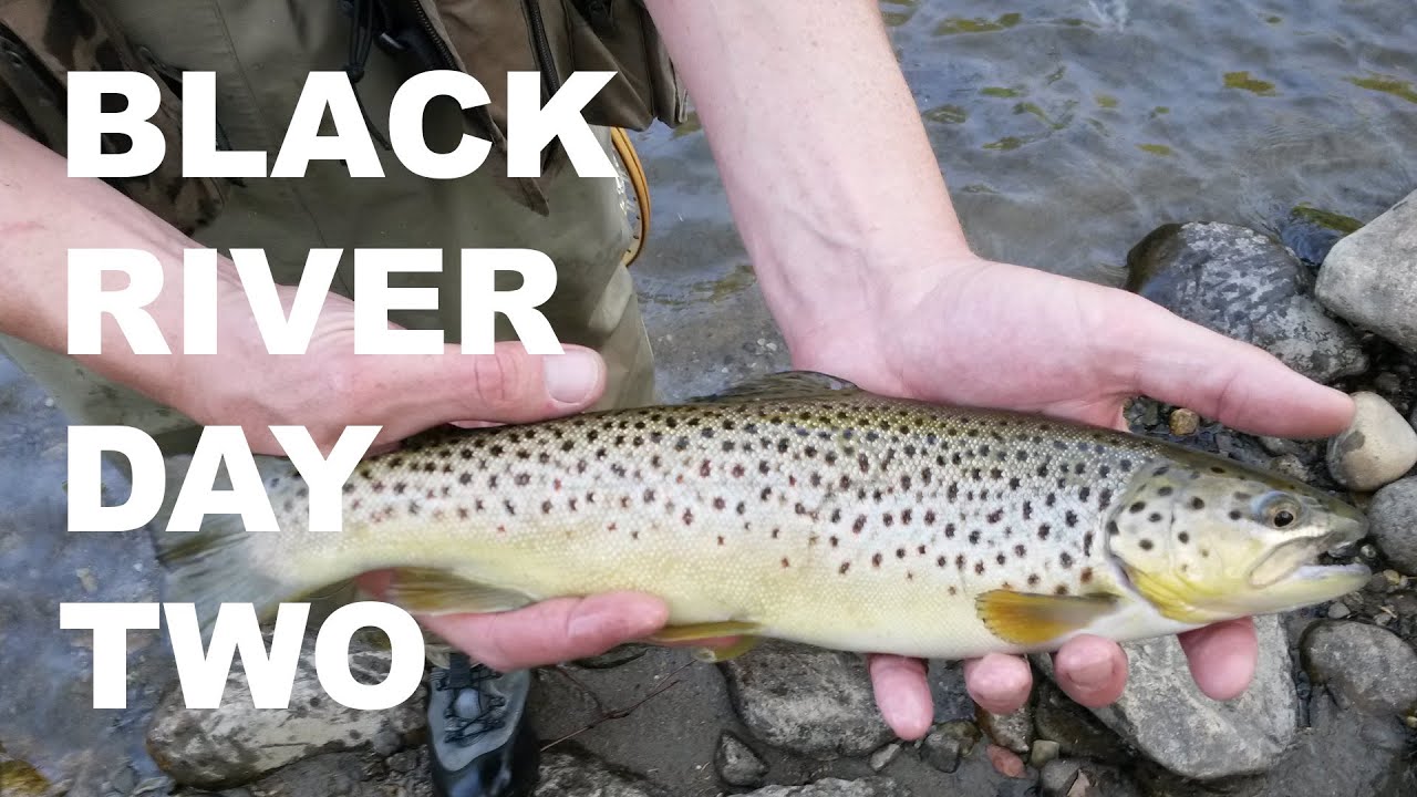 Black River Trophy Trout Day Two