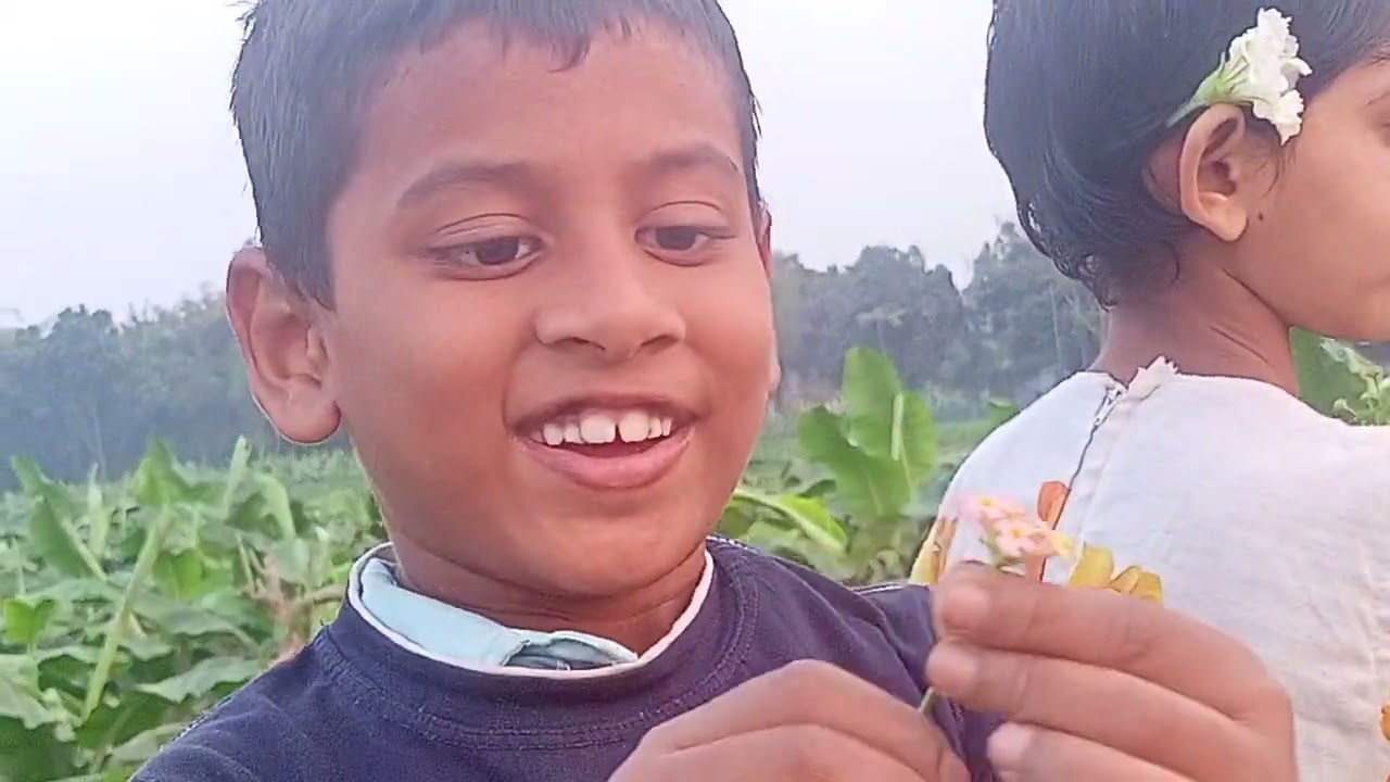 গ্রামের চারদিকে ওয়াও শাকসবজি।