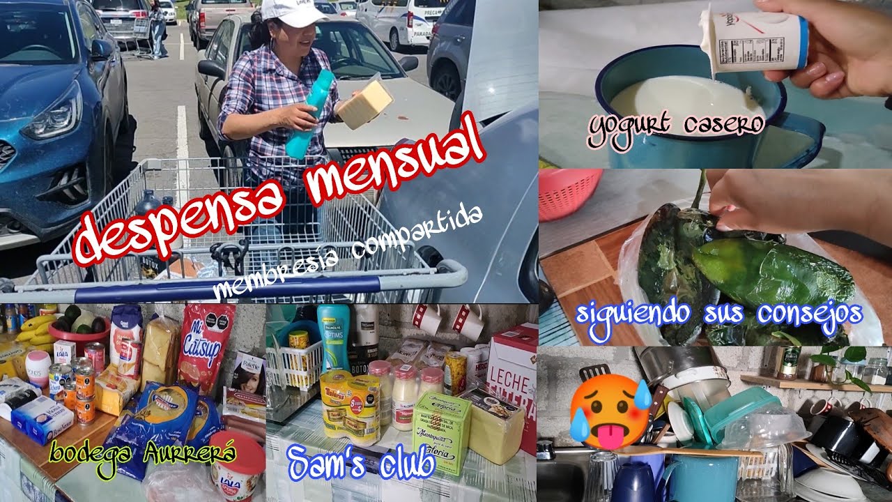 membresía compartida ✨/despensa mensual 💰/yogurt casero 😋