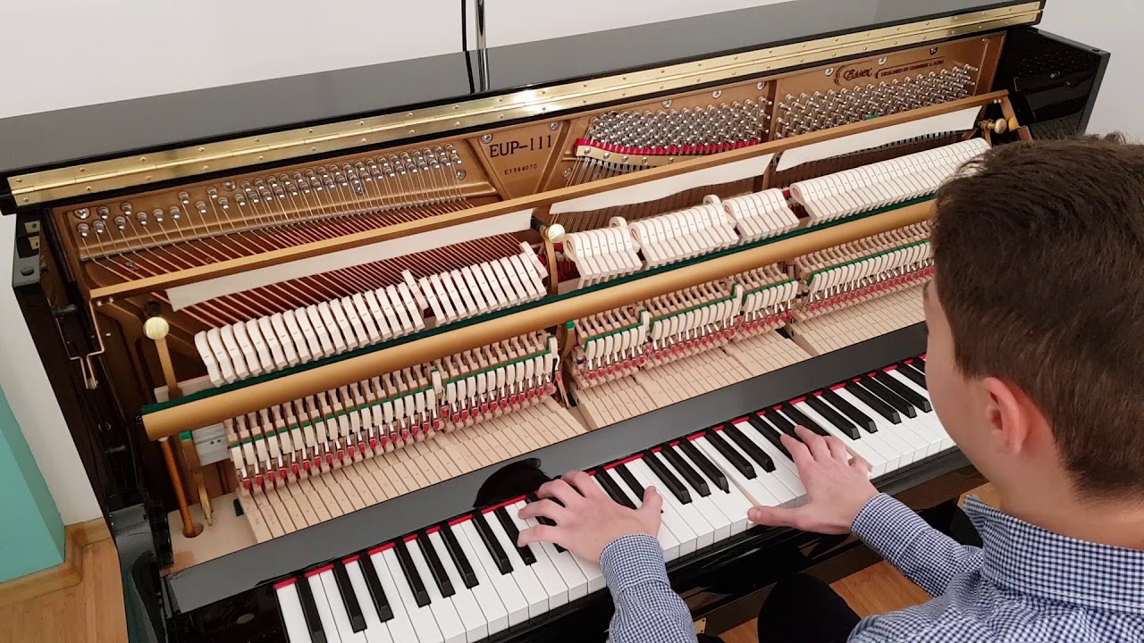 Essex Eup-111E by Steinway & Sons