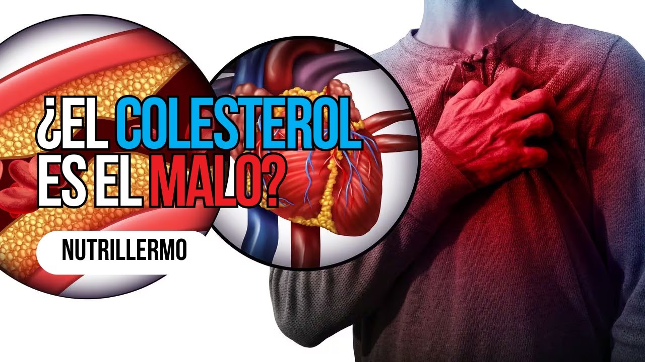 El Colesterol NO ES el ENEMIGO - Nutrillermo