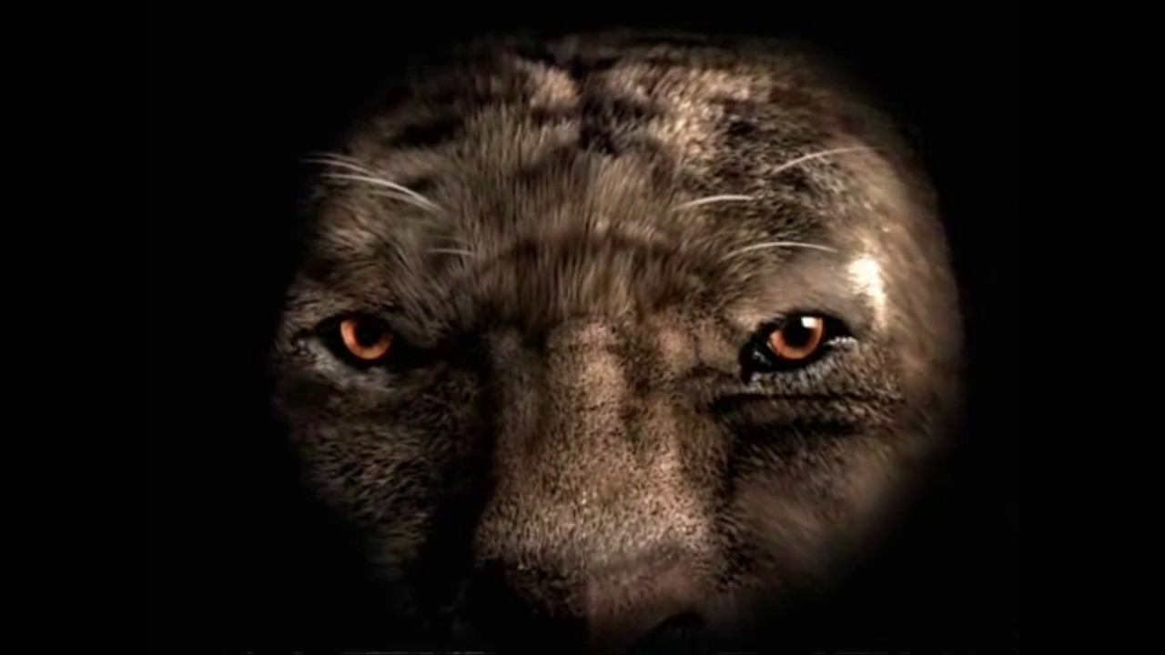 Vivendi Universal Games   Universal Pictures   Tigon Studios   Starbreeze Studios