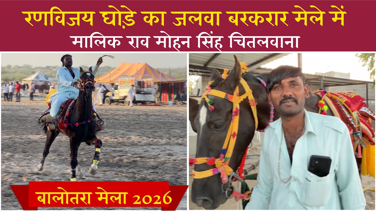 रणविजय घोड़े ने दिखाया अपना जलवा मेले में | राव मोहन सिंह | Balotra mela 2026 -#balotramela2026