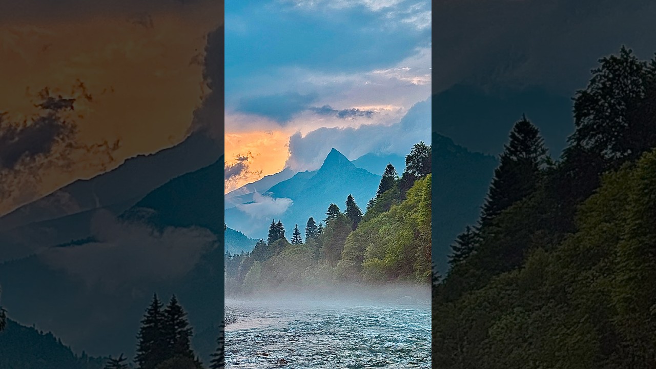 Горная форель 2025 #fishing #trout #travel