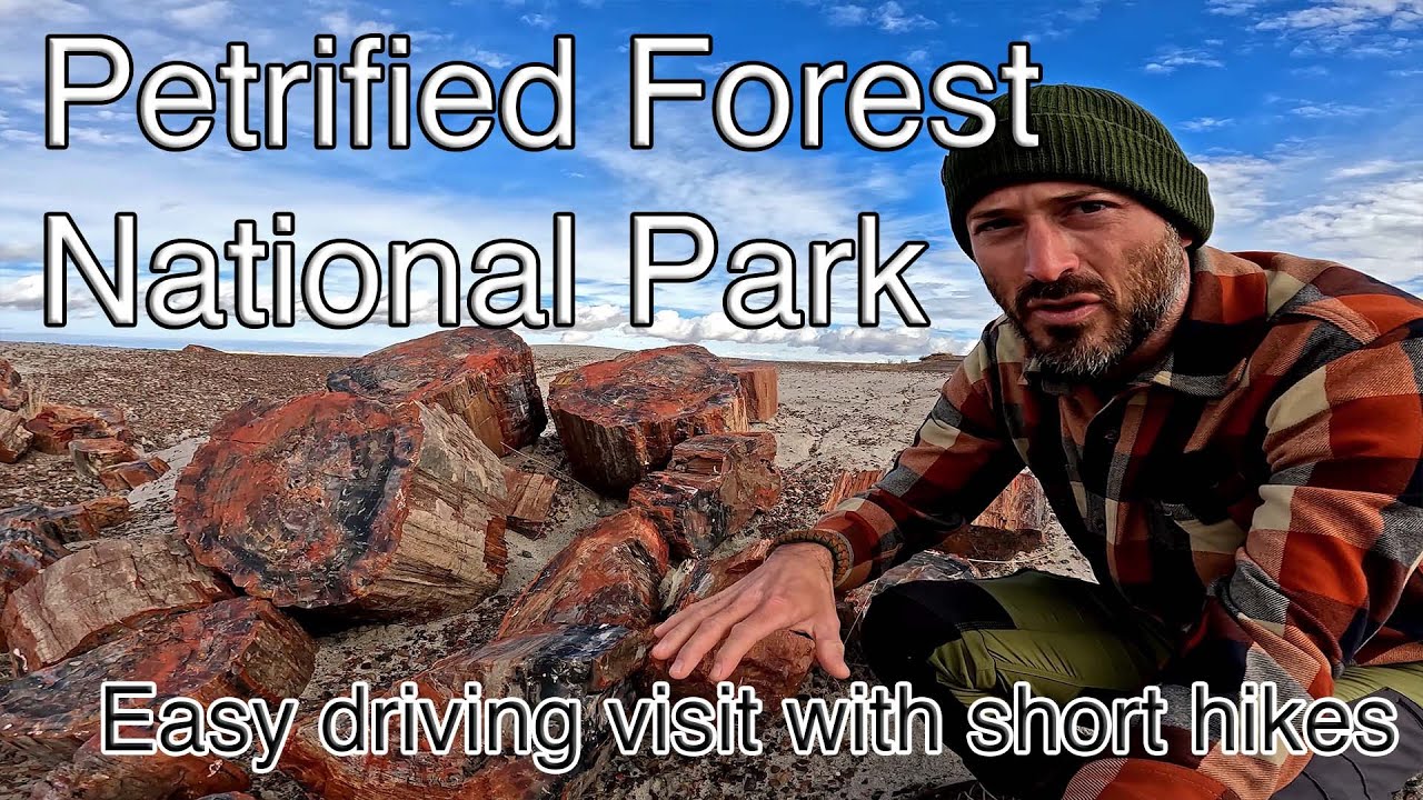 Petrified Forest National Park | Unique landscape and geology in Arizona | Drive & Hikes
