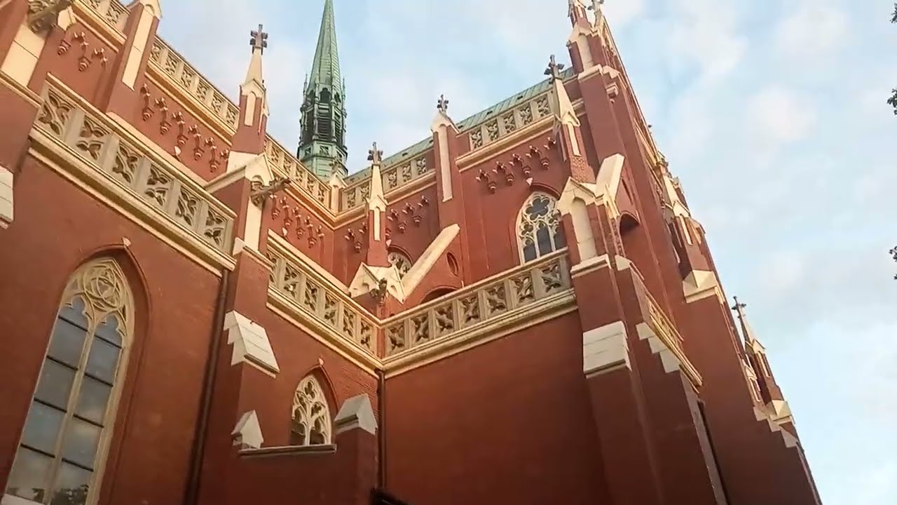 Polşada təhsil.İbtidai, orta və ali məktəblər.