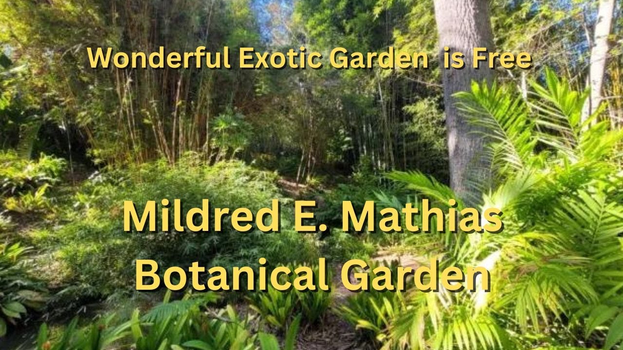 UCLA Botanical Garden