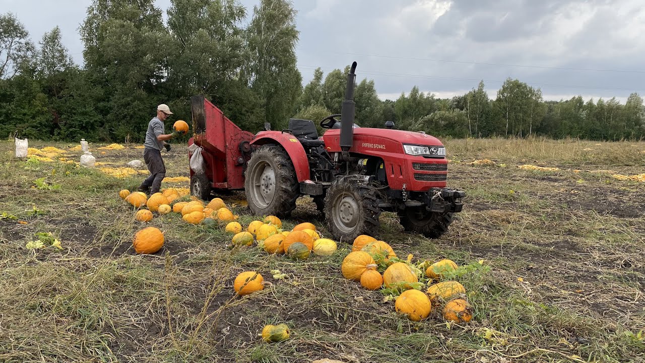 Збір та мийка гарбузового насіння. Комбайн Moroz 1500 + Shifeng