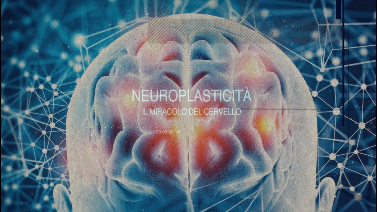 Neuroplasticit&agrave; e dintorni - Gli approfondimenti del dr. Gamba