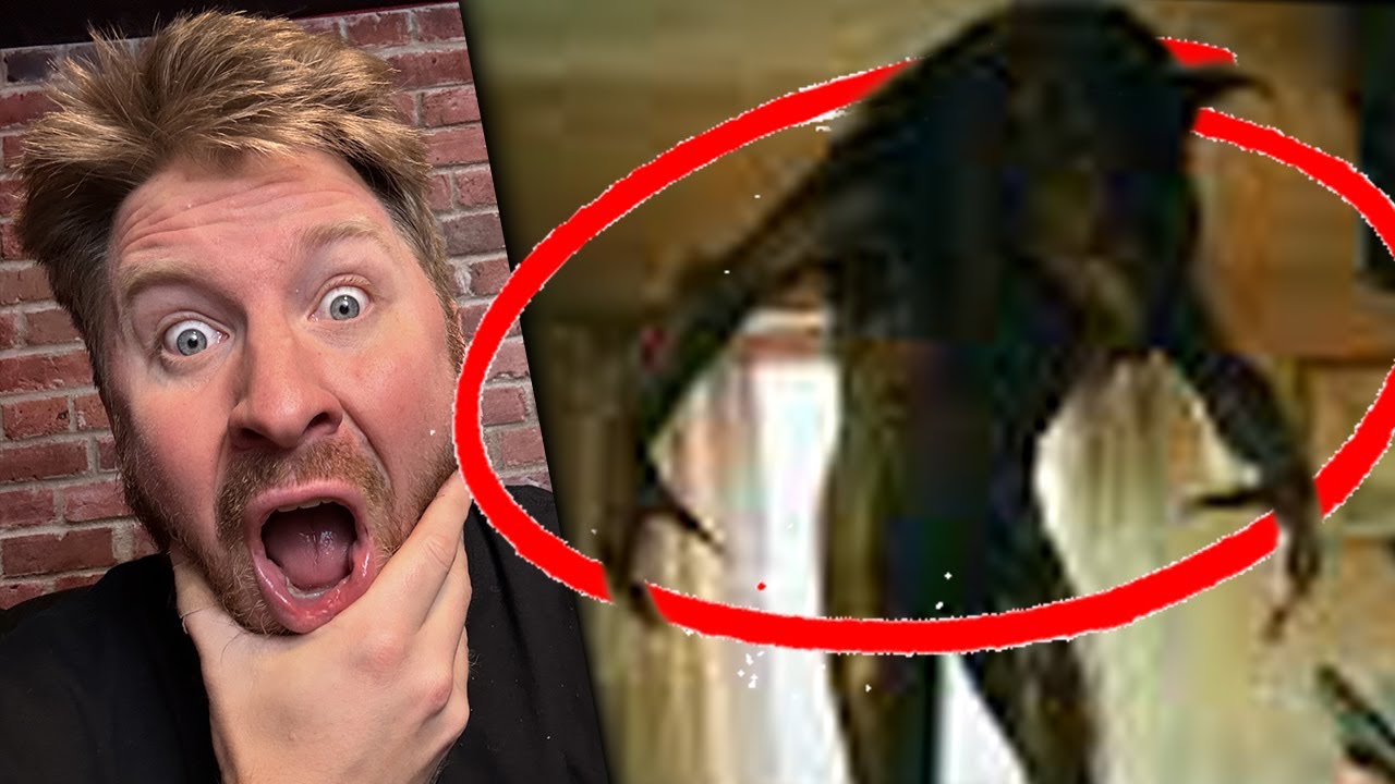 WEREWOLF DOGMAN Sighting in Mississippi (REAL)!!