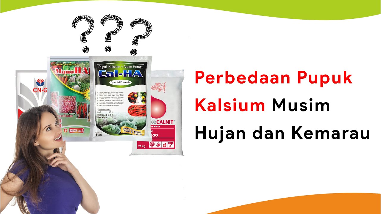 Beda Musim, Beda Pupuk Kalsiumnya! Pupuk Kalsium Untuk Cabe